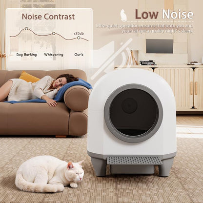  Pet House