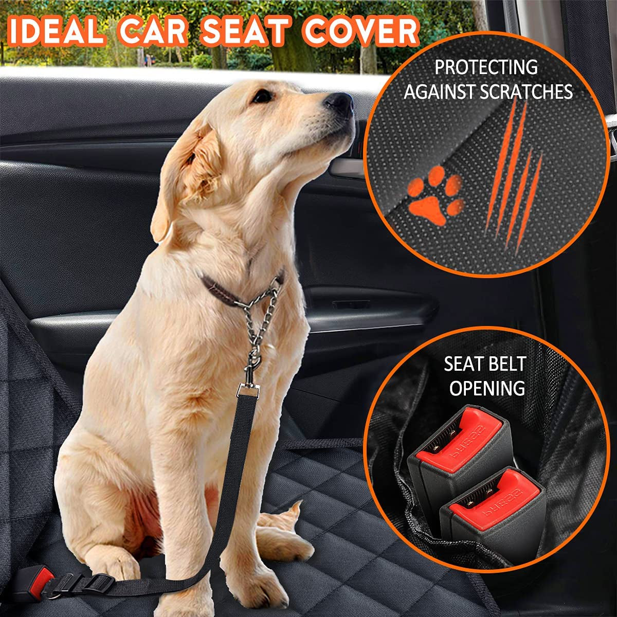 Ride Buddy Seat