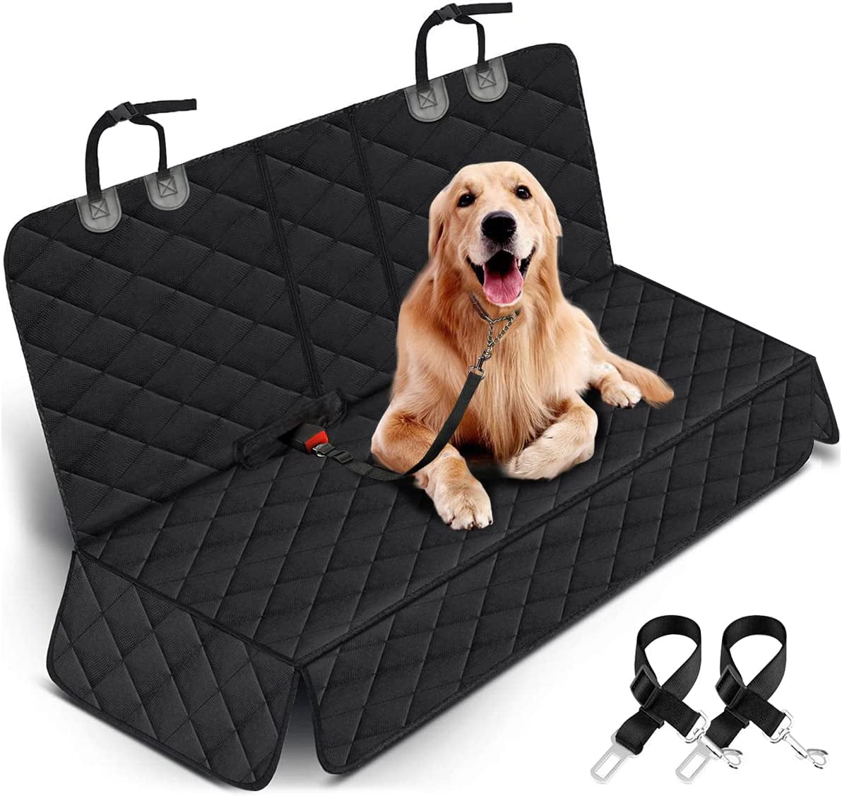 Ride Buddy Seat