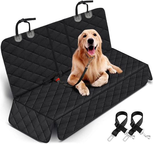 Ride Buddy Seat