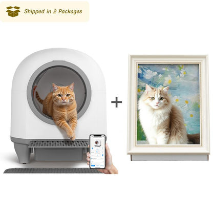  Pet House