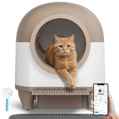  Pet House