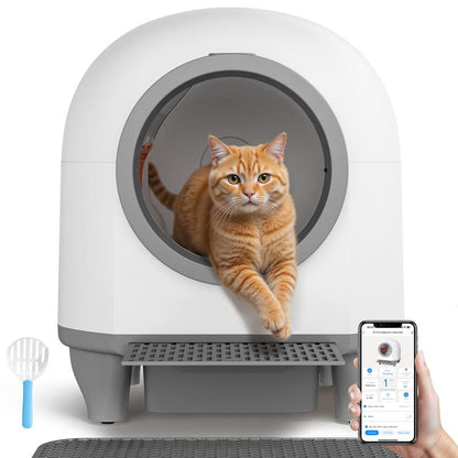  Pet House