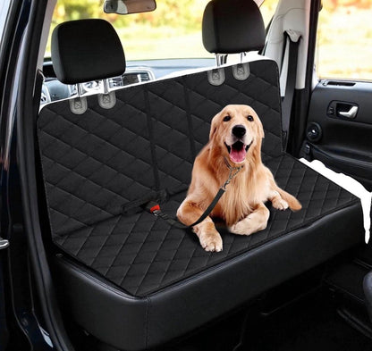 Ride Buddy Seat